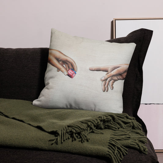 Pass the Chalk Premium Pillow