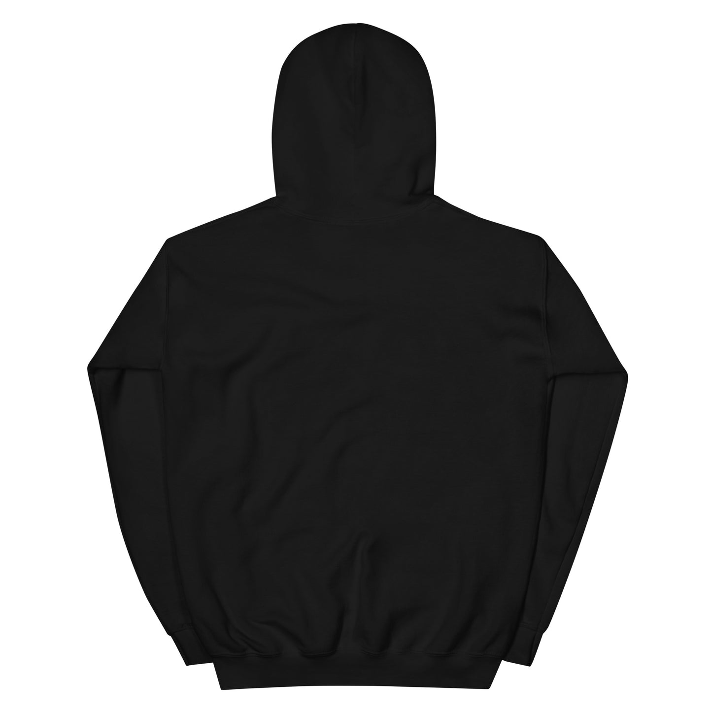 Big Pool Fan Hoodie
