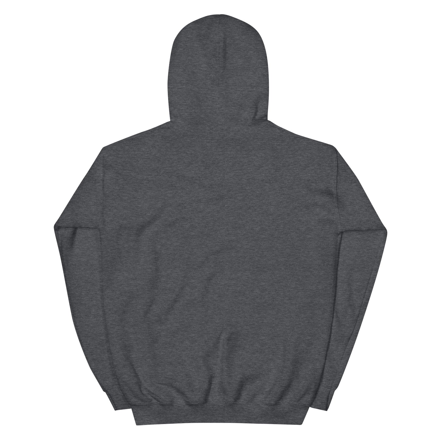 Big Pool Fan Hoodie