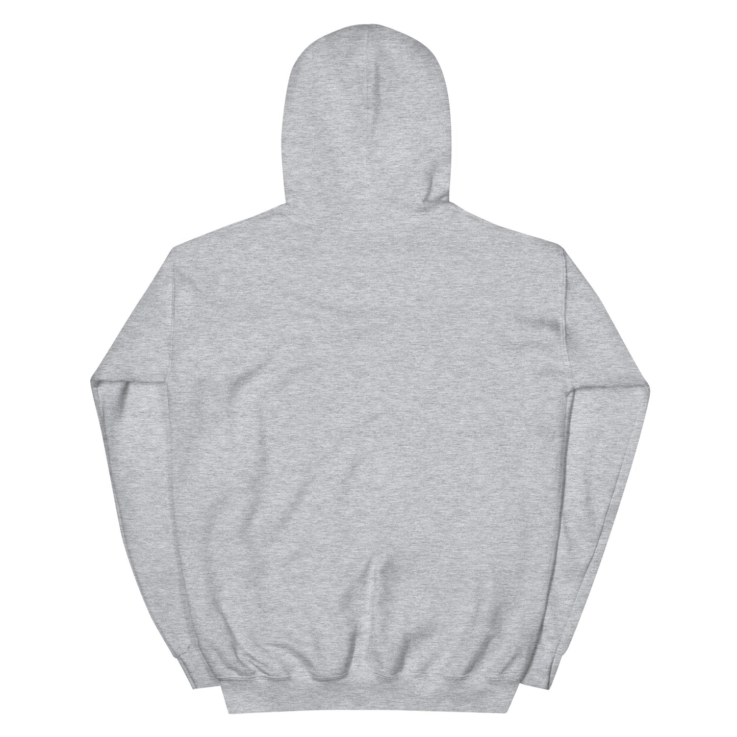 Big Pool Fan Hoodie