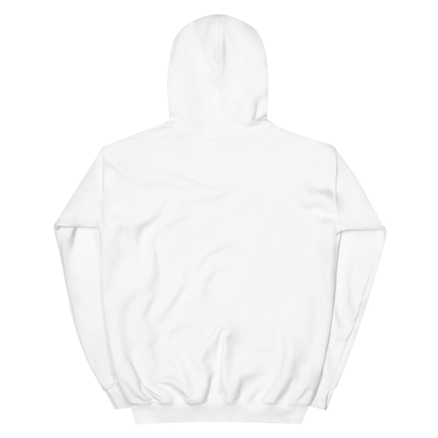 Big Pool Fan Hoodie