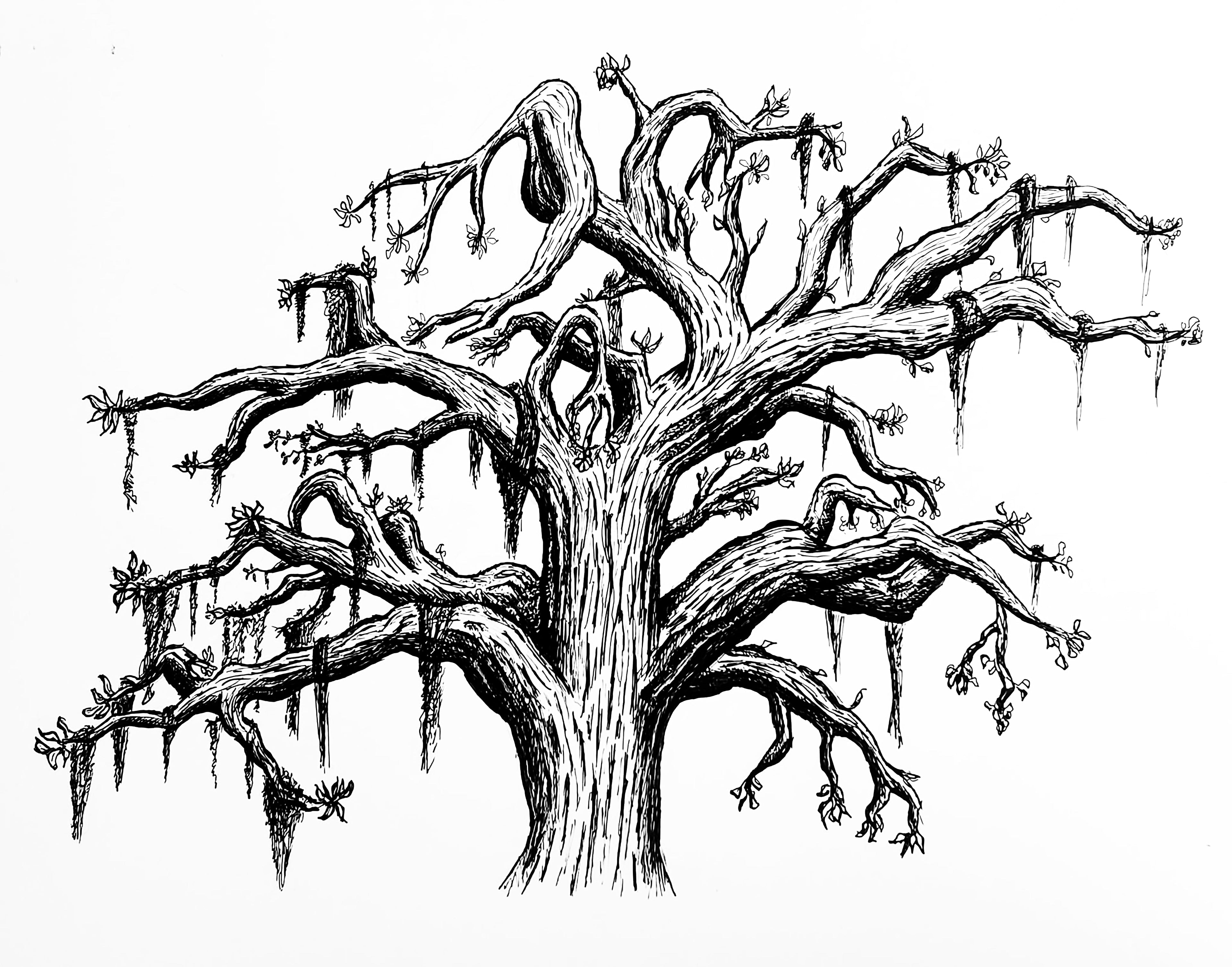 PoolBallArt unique art old twisted tree pen art