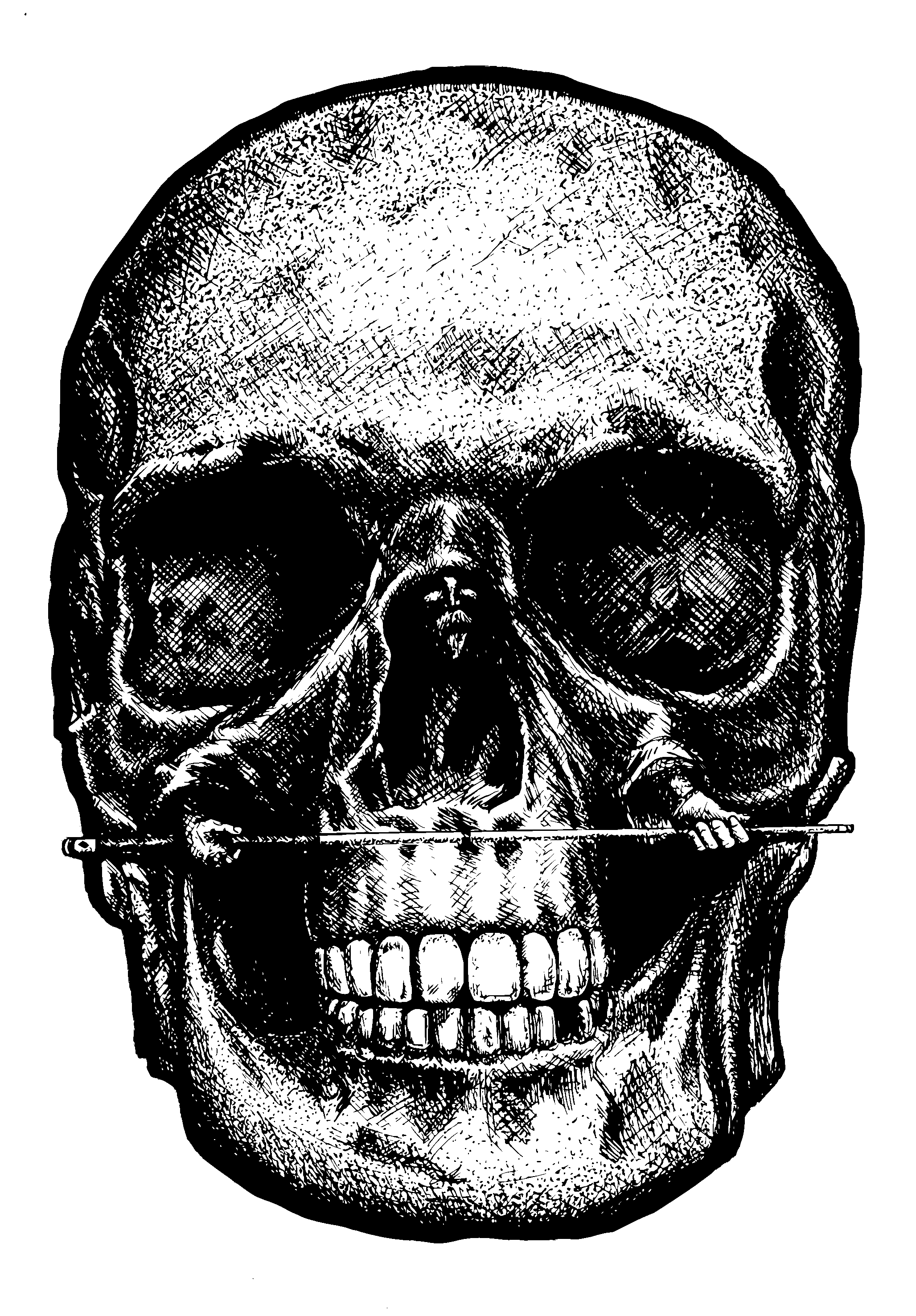 PoolBallArt billiard lifestyle unique art skull double image hidden
